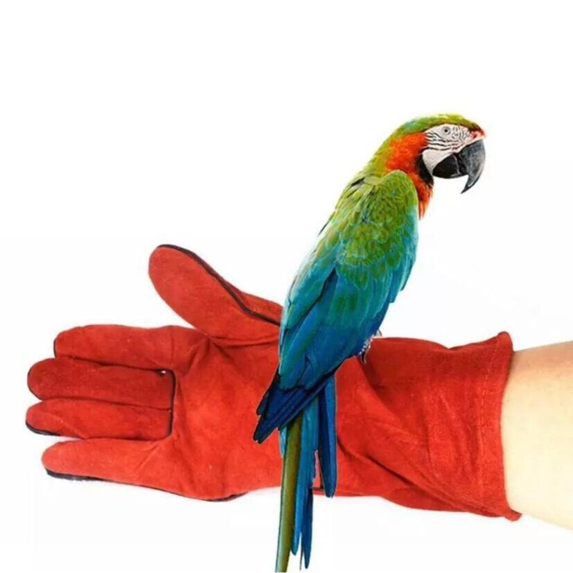 No Bite Bird Handling Gloves Main